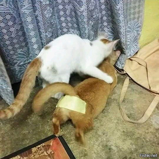 Приближающаяся весенняя контрацепция