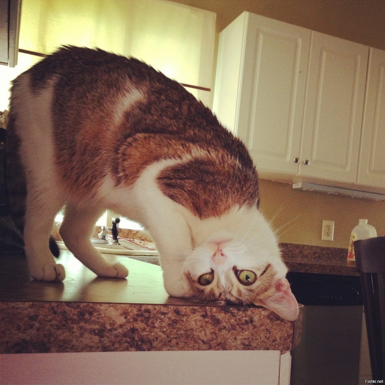 Утром после Vалерианка-party