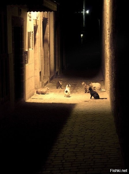 Первое правило Бойцовского клуба: не упоминать о Бойцовском клубе