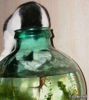 Имидж ничто