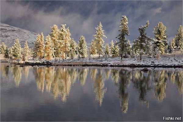 Стоктышские озера