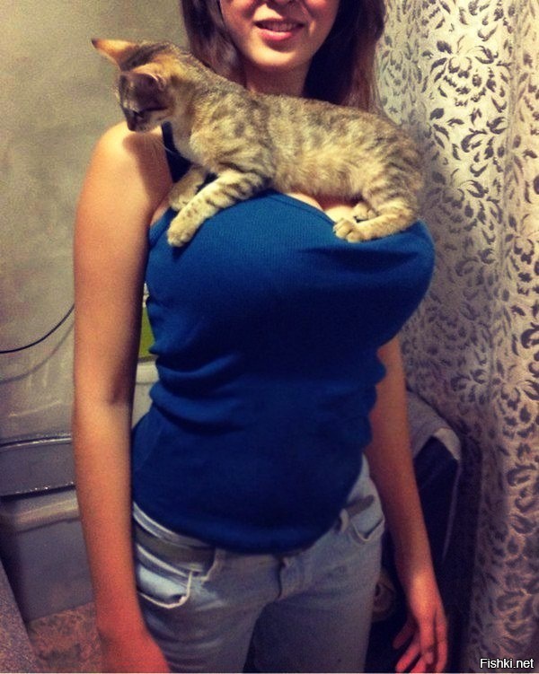 Интересно, ему удобно