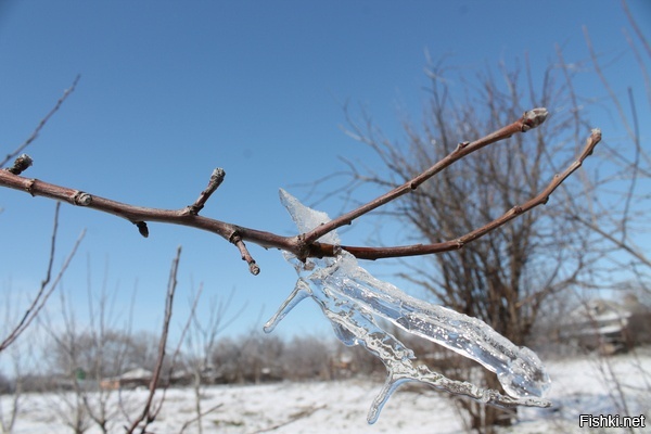 Какая весна, такие и сосульки