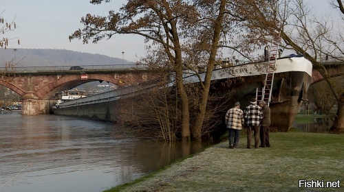 1,5 промилле на реке