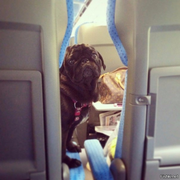 &quot;Ехал себе в электричке