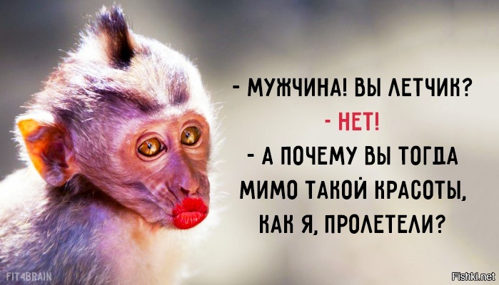 ДОБРОЕ УТРО, ФИШКЯНЕ 