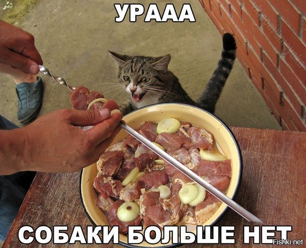 Из солянки