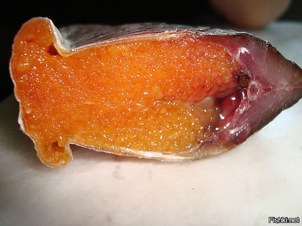 Всем котикам вкусняшек)))