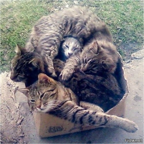 В тесноте, да не в обиде