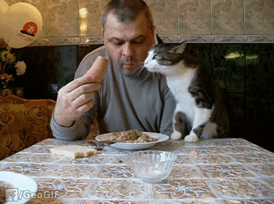 Завтрак съешь сам, обедом поделись с другом, а ужин отдай коту