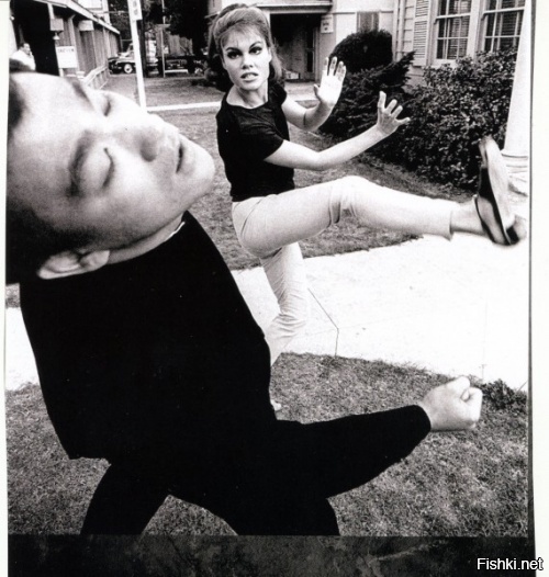 Брюс Ли в роли Като и Уэнди Вагнер (Wende Wagner) в роли Ленор &quot;Кейси&amp;qu...