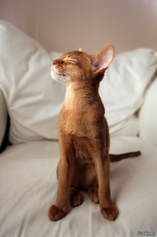 -Весной пахнет