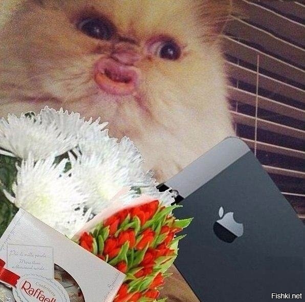 8 марта на всех аватарках страны: