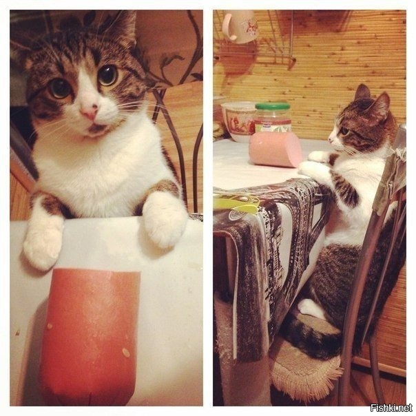 Самоконтроль