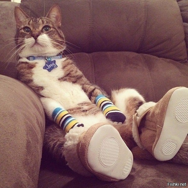 Кот в сапогах