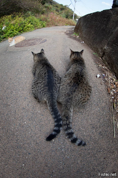 Как в старом анекдоте:
