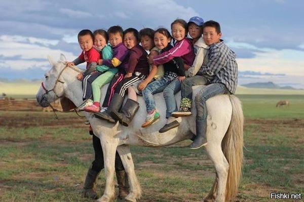 Монгольский школьный автобус