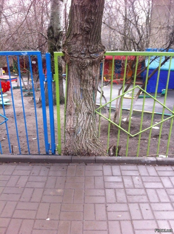 Стремление к свободе