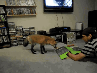 &quot;Х&quot; - Хищник