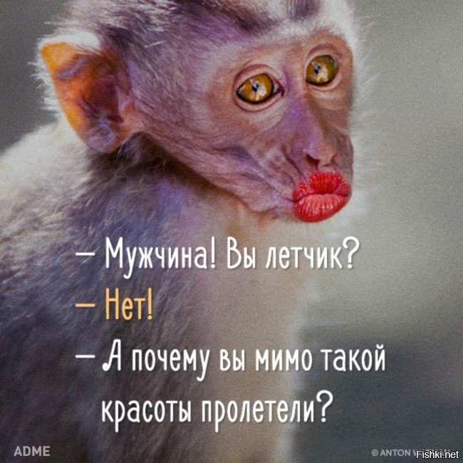 Всем привет 