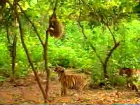 троллинг 80го уровня ))))