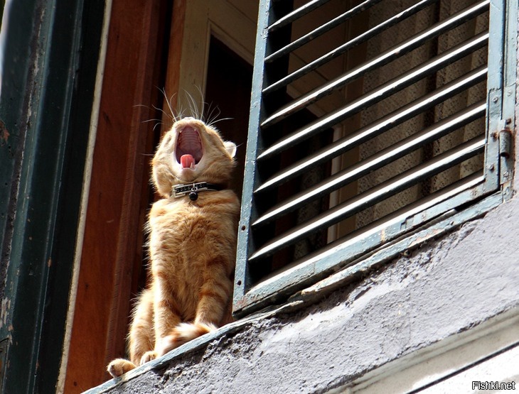 Просыпаааемся 