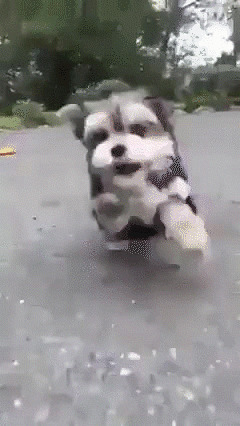 Звёздный десант идёт на прорыв