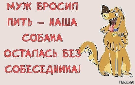 Из солянки