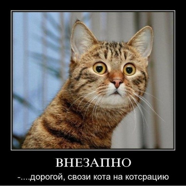 Самые классные картинки с надписями