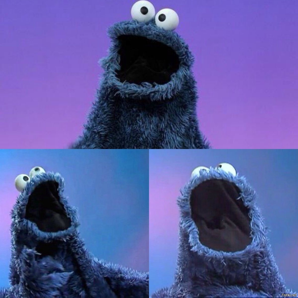 103-летнюю печеньку с Титаника продали на аукционе за $22,5 тыс