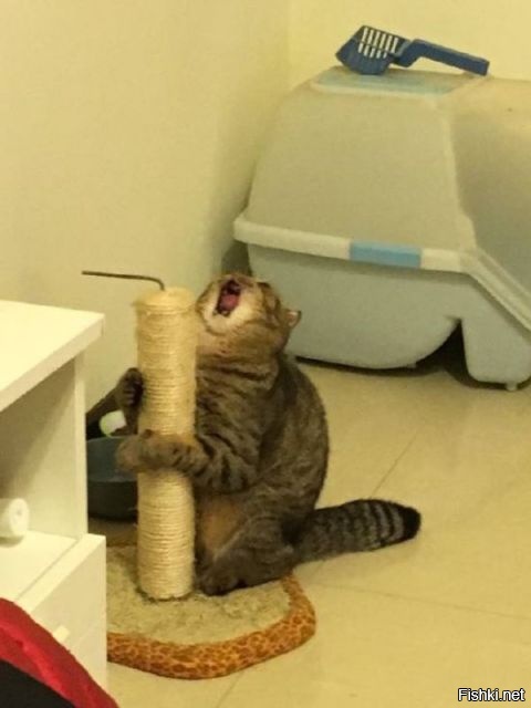 Ма-а-а-а-а-арт