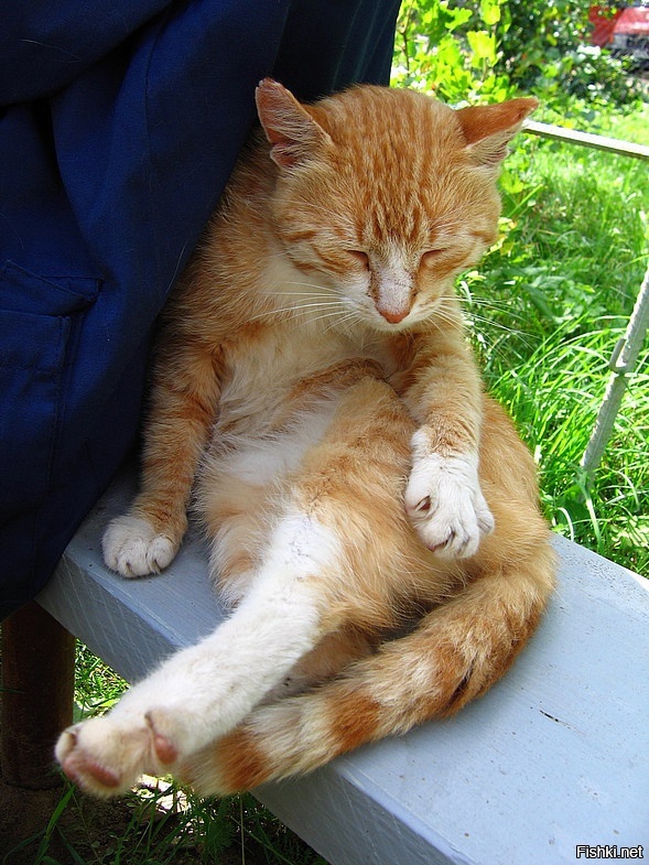 Какая нахрен пятницооо