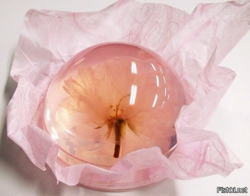 Сакура в персиковом желе