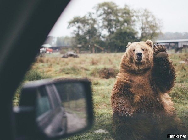 &quot;Пока, ну ты заезжай, если что