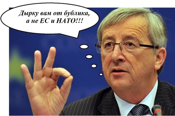 Украина не станет членом ЕС и НАТО в ближайшие 20 лет