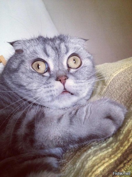 Сигнал потерян)))