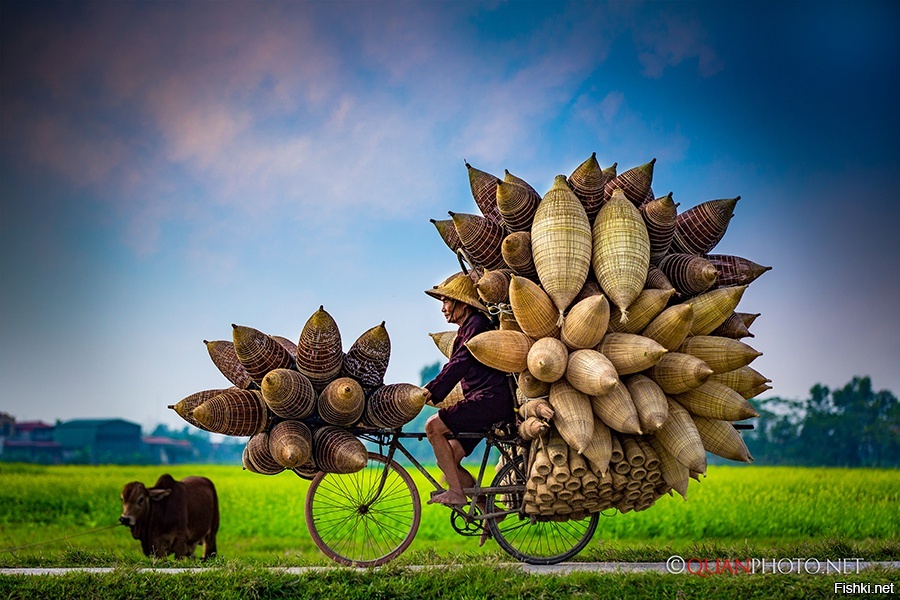 After the harvest season, farmers in the Tat Vien village in Hung Yen provinc...