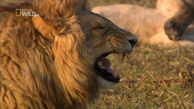 улыбнитесь в пятницу вечером