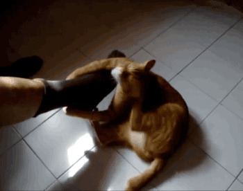 -Давай, давай, раскачивай