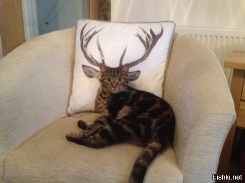 Не мчи меня Олень, в свою страну оленью