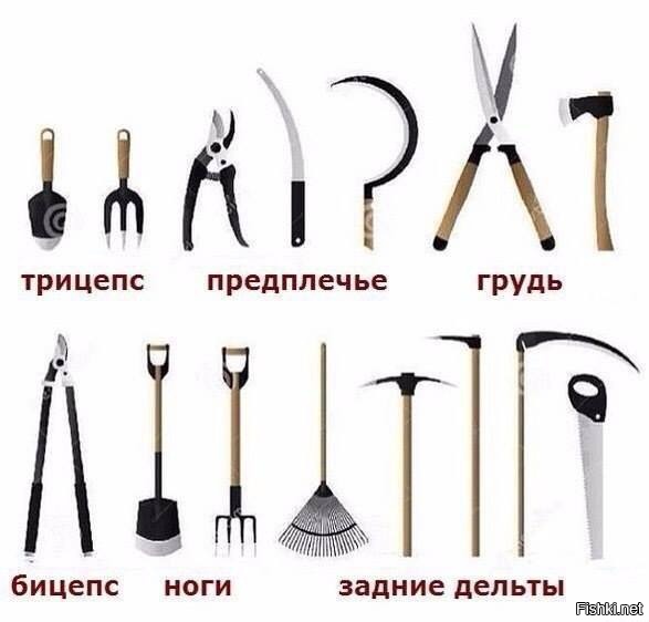 Скоро огородный сезон