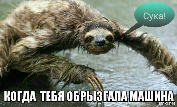 Водители, будьте внимательней