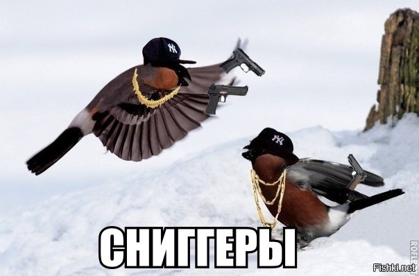 Из солянки