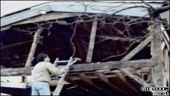 Точка бифуркации