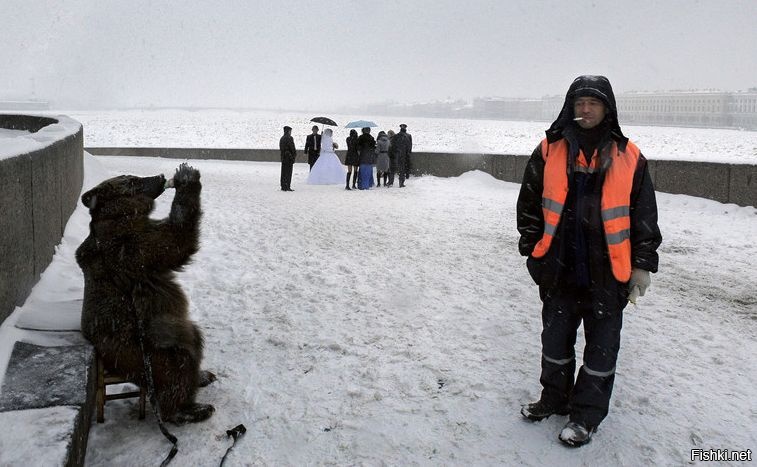 Пьющий медведь,горе в семье