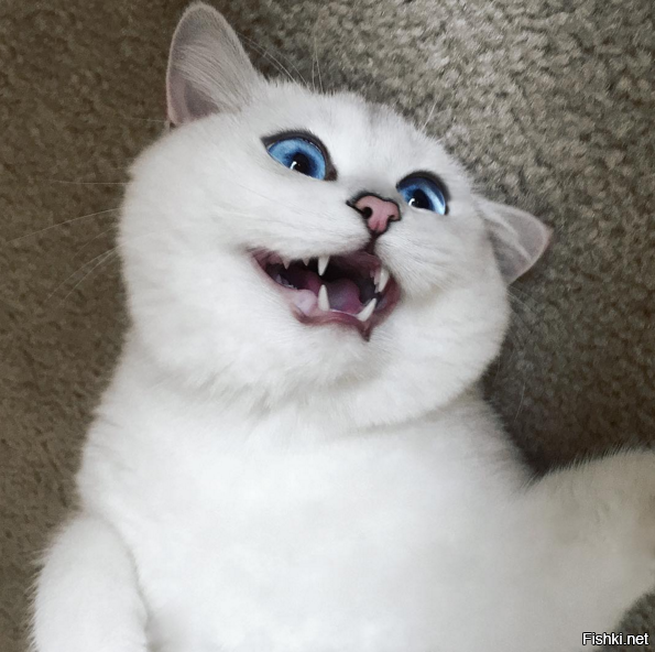 Патамушто весна