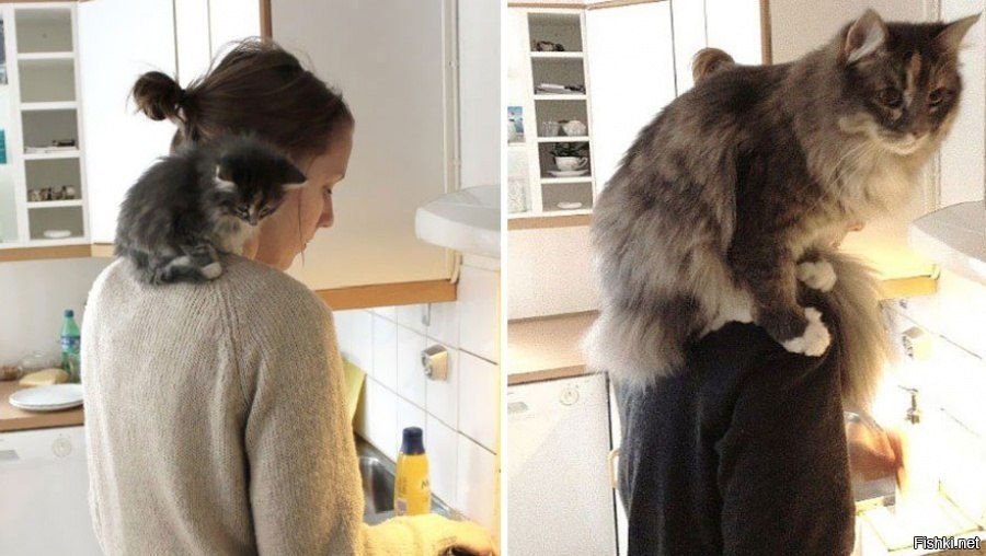 Было - стало