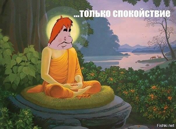 Из солянки