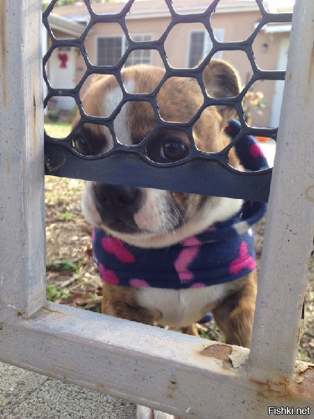 Большой Брат следит за тобой