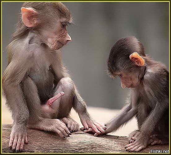 От всей души